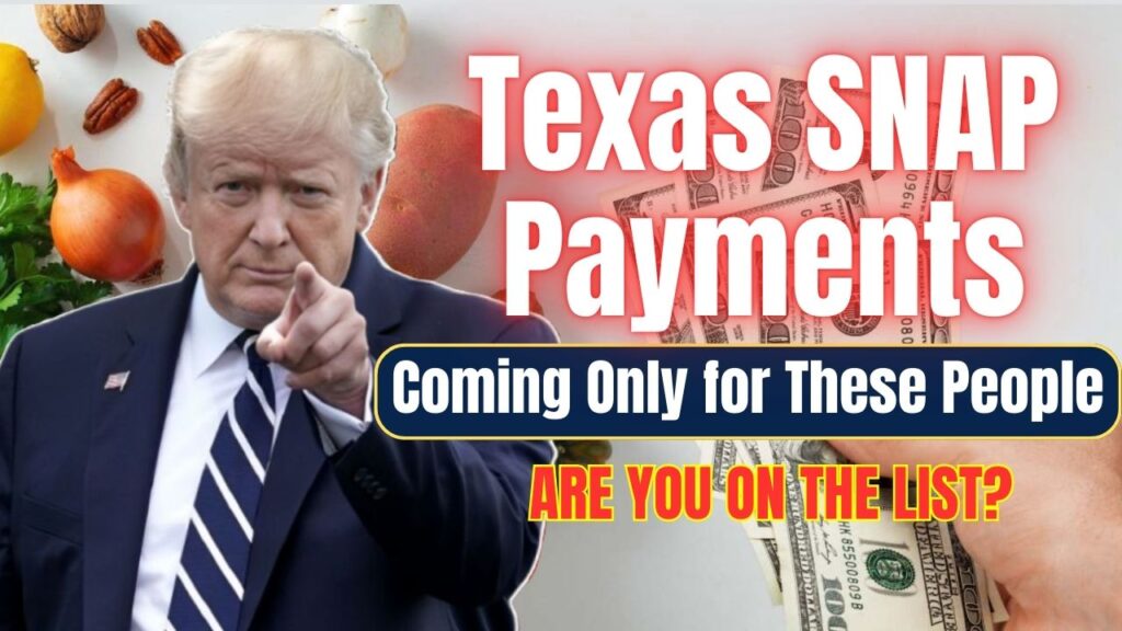 Texas SNAP Payments